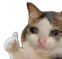ES_sad_cat_ok Discord Emoji