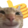 catthumbsup