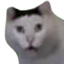 huh