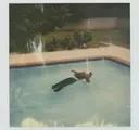deadgirlinthepool deadgirlinthepool