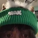 cocoaptsd