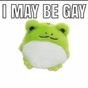 Howlesbiangayareyoufrom1100