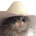 5760cesadcowboy Discord Emoji