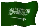 saudi1
