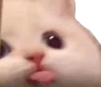 catmlem