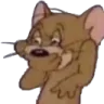 serverBragaEmoji35