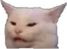 serverBragaEmoji37