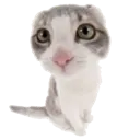 emoji_268