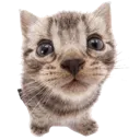 emoji_269