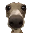 emoji_271