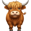 :highlandcoo: