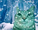 ice