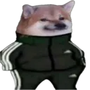 tracksuitshibe