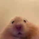 peak