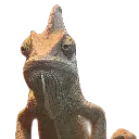 sadgemin