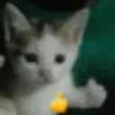 chat_be_like