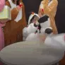 asantaminjidead asantaminjidead