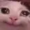 1075462135053815870 1075462135053815870