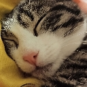 emoji_157 Discord emoji