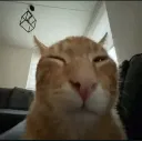 BUH