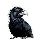 sus_raven