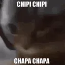 chipi chipi