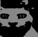 creepcannycat