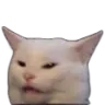 GaDZSalatcat Discord Emoji