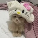aw
