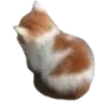 GaDZangycat Discord Emoji