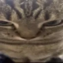 anger