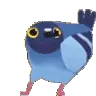 birddance