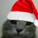 bfc_festive