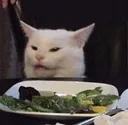 2890_catewww