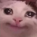 SoulPainCAT