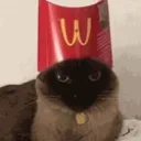 MCs_cat Discord Emoji