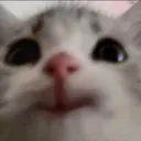c_