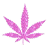Pink_Weed Pink_Weed