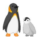 penguinsway