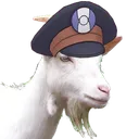 Ingoat