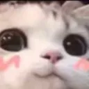 cUte_cAt