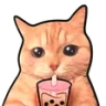 Cat_Sip