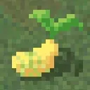 seed_1 seed_1