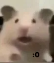 _0