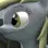 TR_derplook