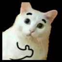 CatThumbsUp