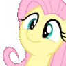 TR_flutternice TR_flutternice