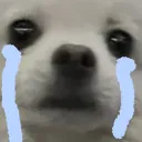 xiaobao_cry