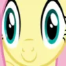 TR_flutterstare