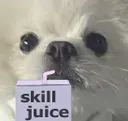 xiaobao_skilljuice